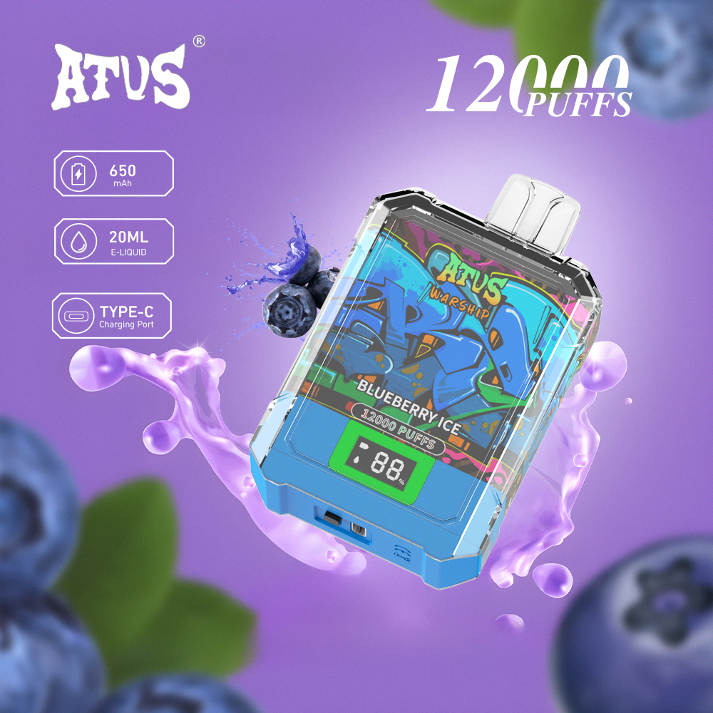 DE013A Caja de 12000 bocanadas de vape desechable con pantalla LED y flujo de aire ajustable